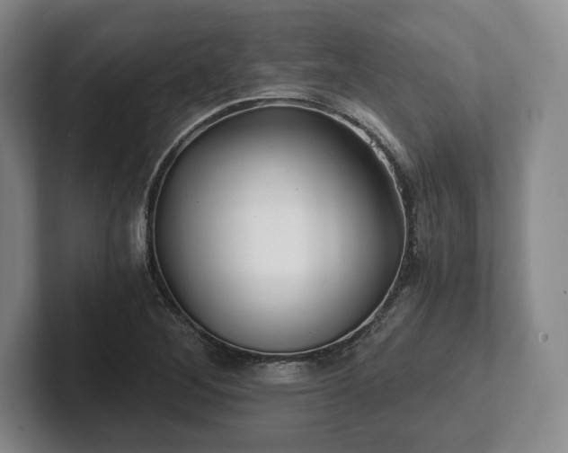 X0000101951268200807251127