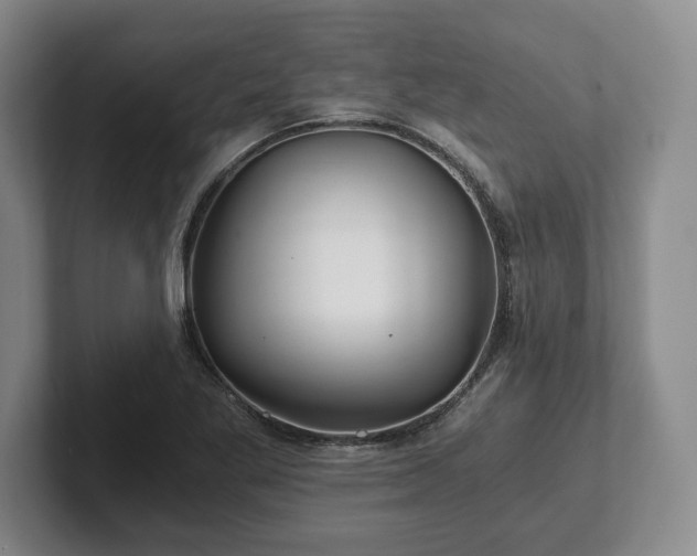 X0000101951269200807251127