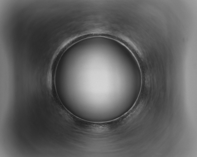 X0000101951270200807251127