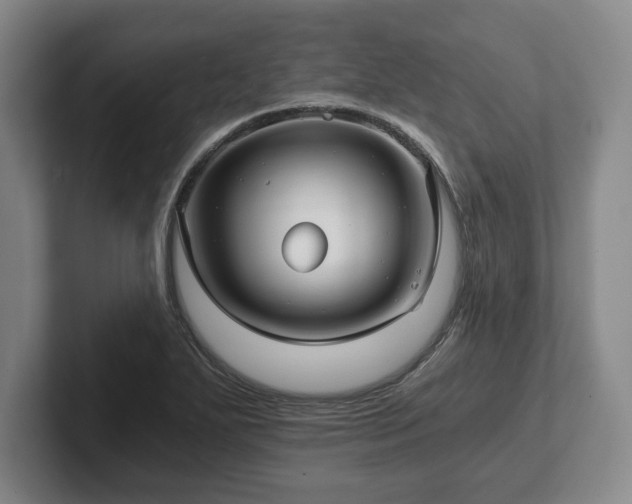 X0000101951271200807251127