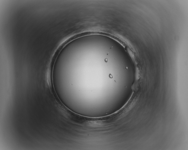 X0000101951272200807251127