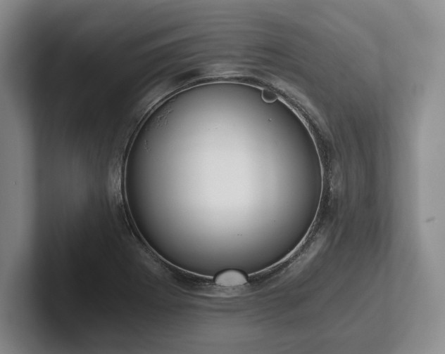 X0000101951273200807251127