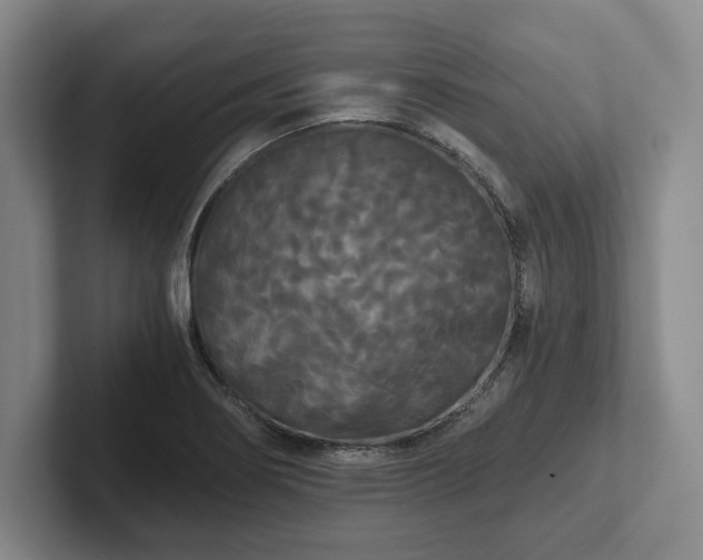 X0000101951274200807251127