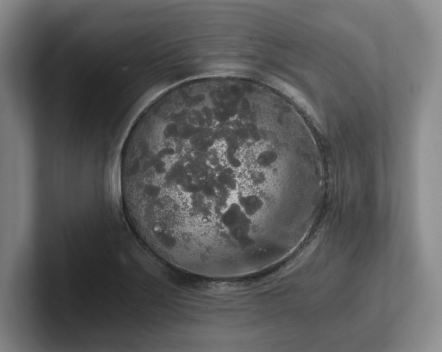 X0000101951275200807251127