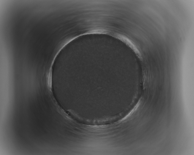 X0000101951276200807251127