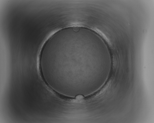 X0000101951277200807251127