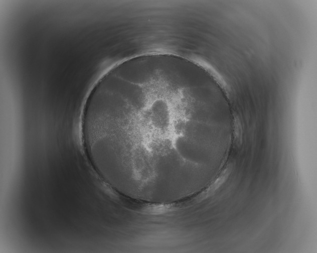 X0000101951278200807251127