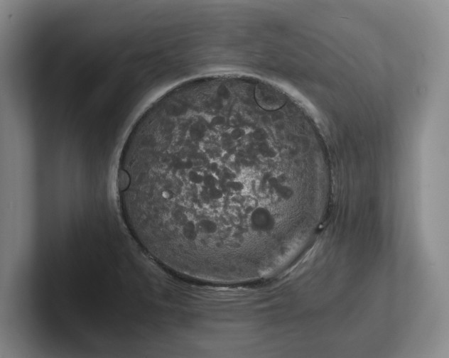 X0000101951279200807251127