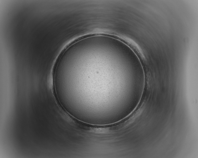 X0000101951280200807251127