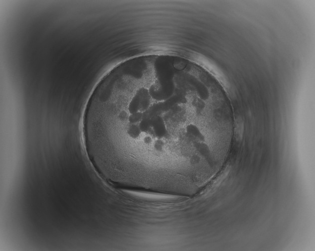 X0000101951283200807251127