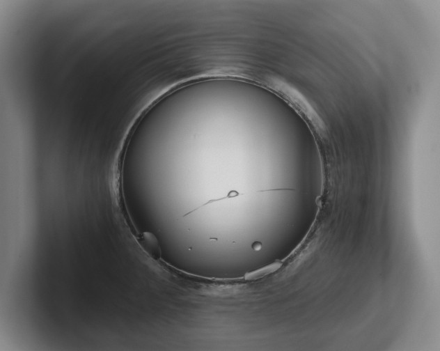 X0000101951284200807251127