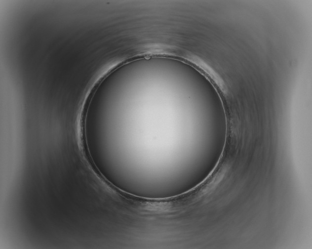 X0000101951285200807251127