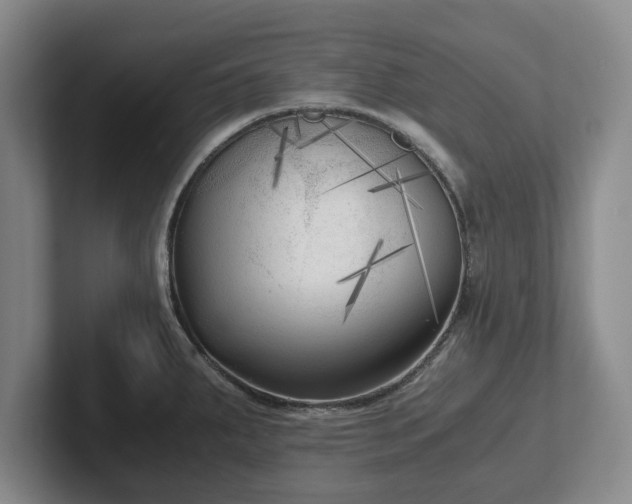 X0000101951287200807251127