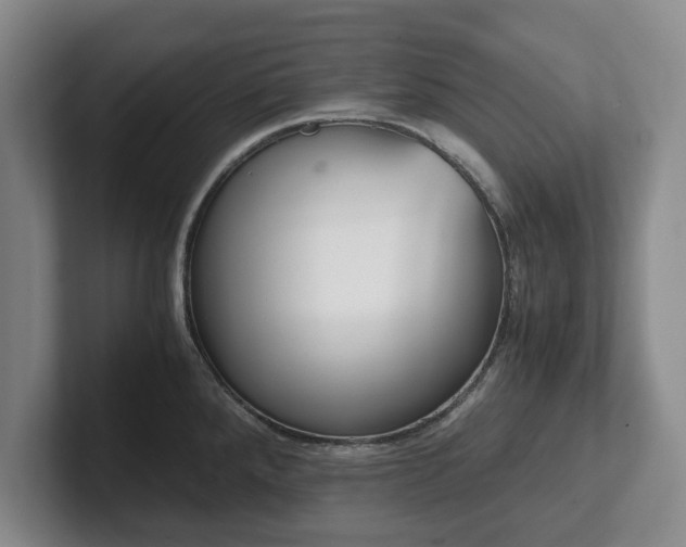 X0000101951288200807251127