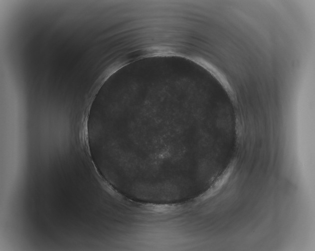 X0000101951289200807251127