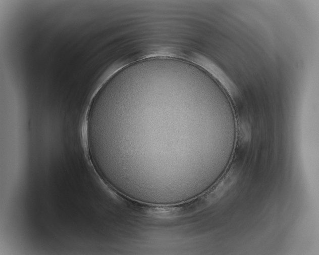 X0000101951290200807251127