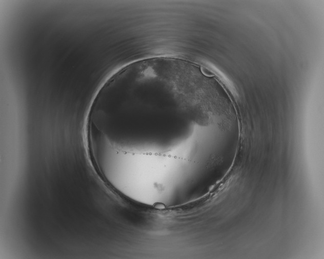 X0000101951291200807251127