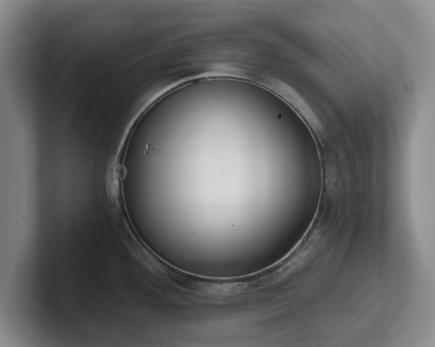 X0000101951292200807251127