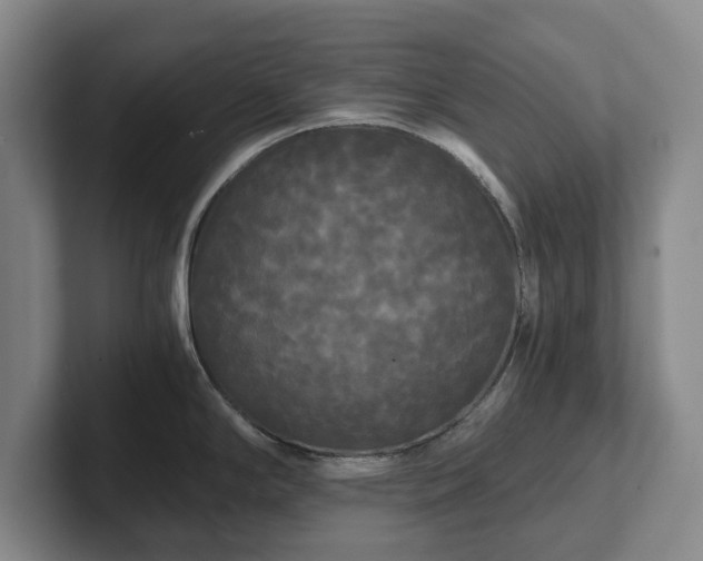 X0000101951294200807251127