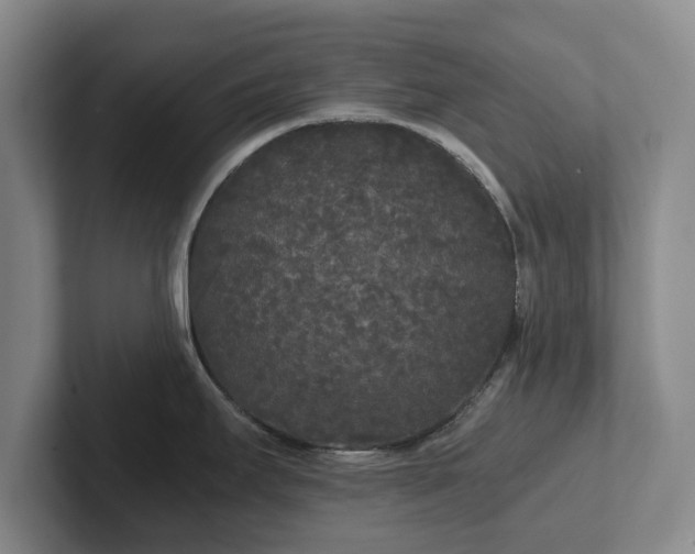 X0000101951295200807251127