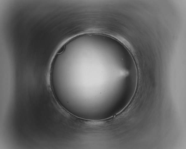 X0000101951296200807251127