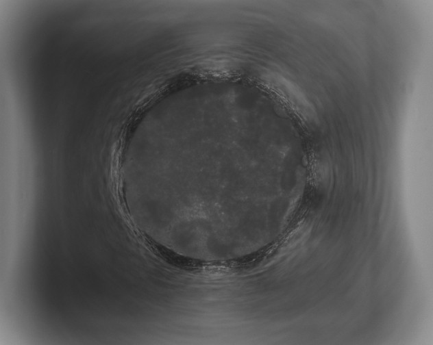 X0000101951297200807251126