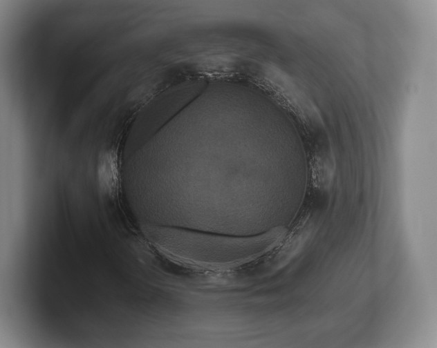 X0000101951298200807251126