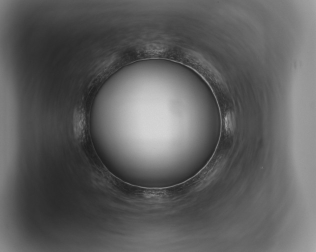 X0000101951299200807251126