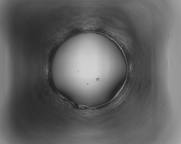 X0000101951300200807251126