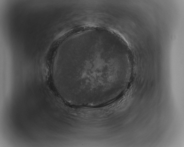 X0000101951303200807251126