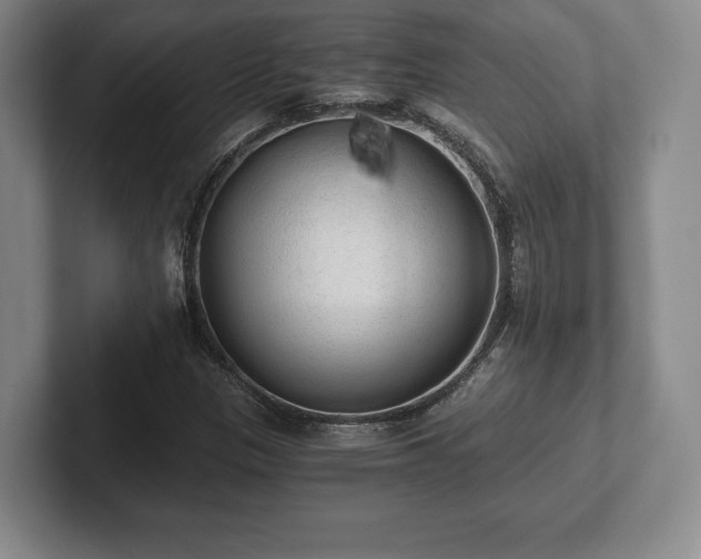 X0000101951305200807251126