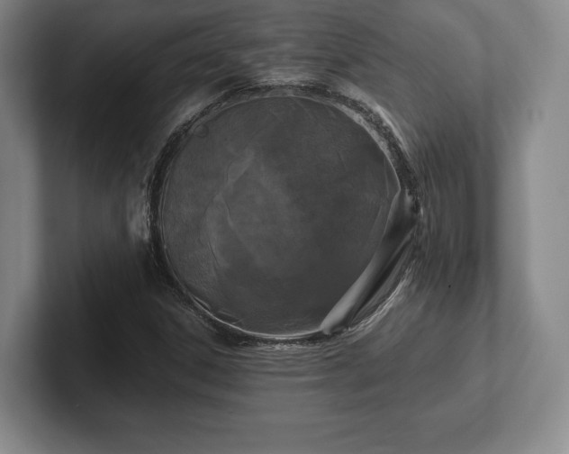 X0000101951306200807251126