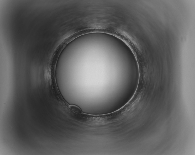 X0000101951307200807251126