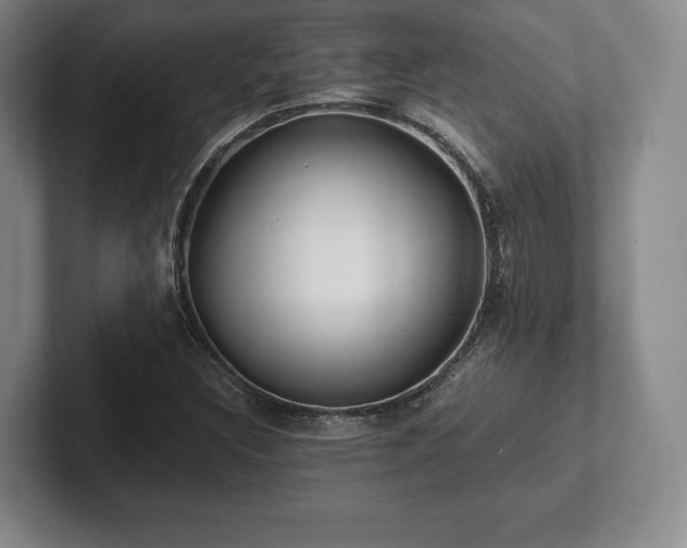 X0000101951308200807251126