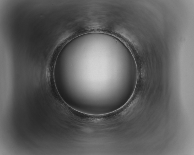 X0000101951309200807251126