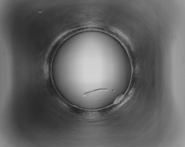 X0000101951310200807251126