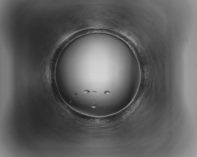 X0000101951311200807251126