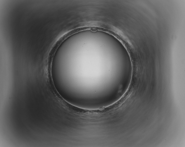 X0000101951312200807251126