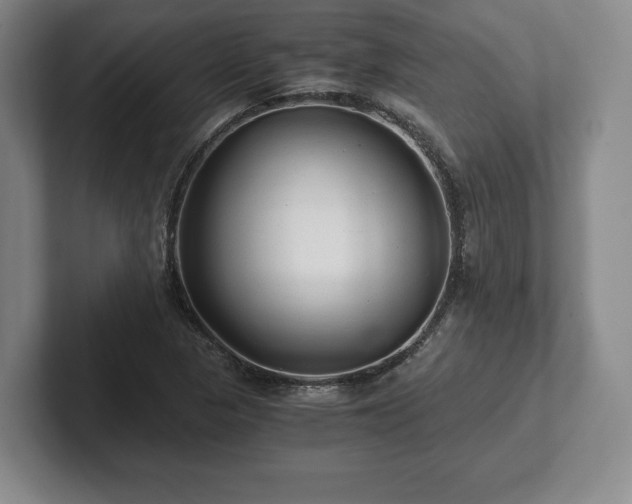 X0000101951313200807251126