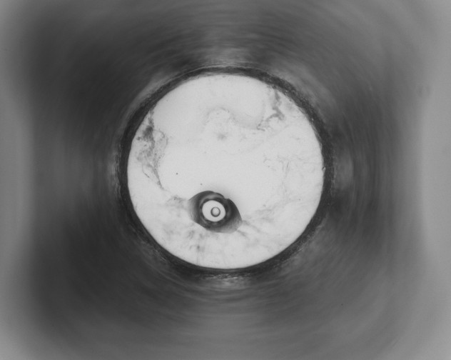 X0000101951314200807251126