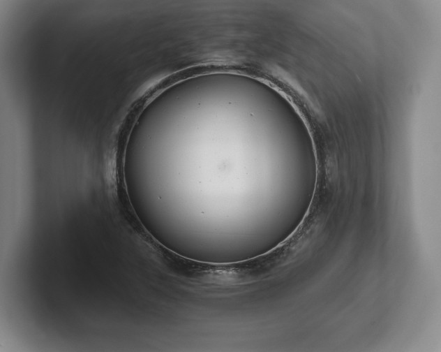 X0000101951315200807251126