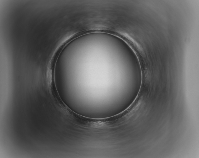 X0000101951317200807251126