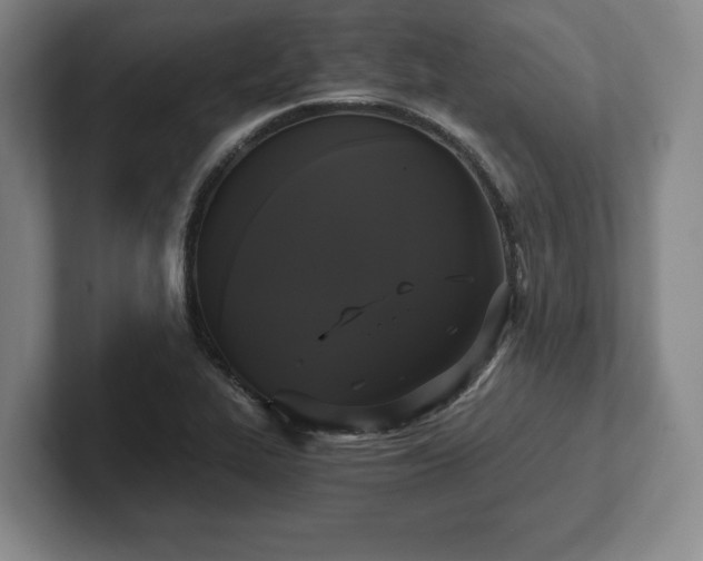 X0000101951319200807251126