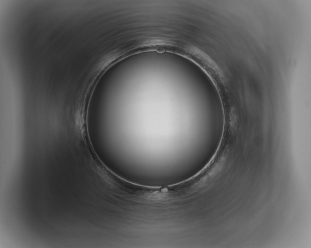 X0000101951321200807251126