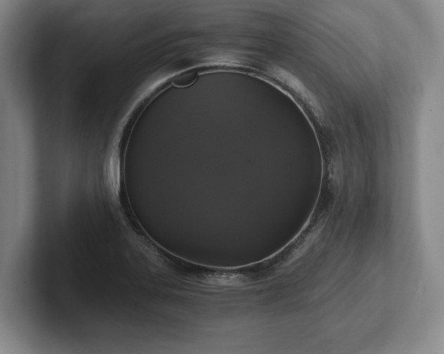 X0000101951323200807251126