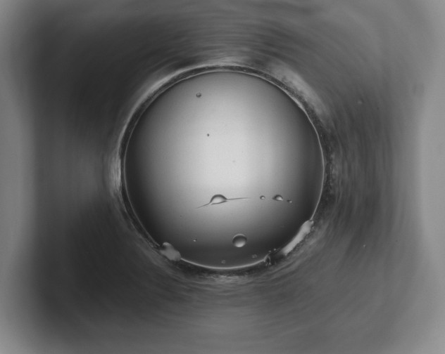 X0000101951324200807251126