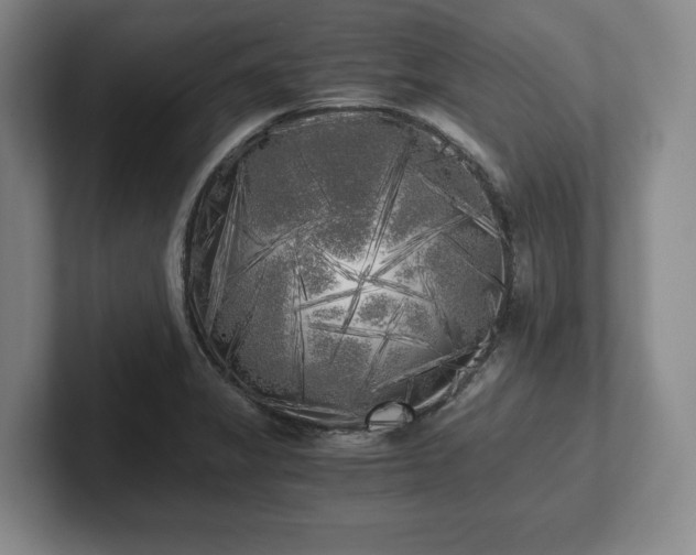 X0000101951325200807251126