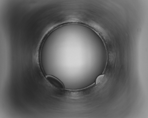 X0000101951326200807251126