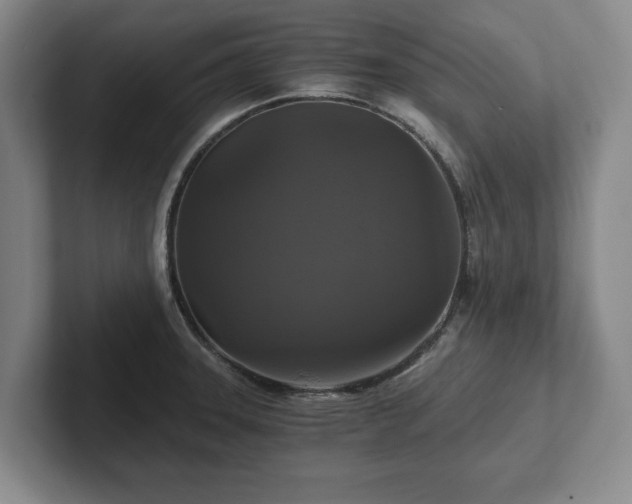 X0000101951331200807251127