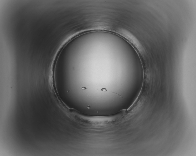 X0000101951332200807251127